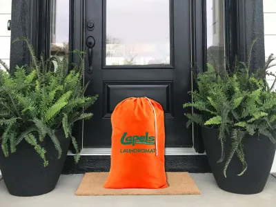 Bright orange laundry bag on a doormat outside a black front door with two large potted ferns.