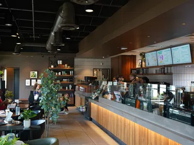 Modern coffee shop interior with wooden counters, green plants, and customers ordering at the counter.