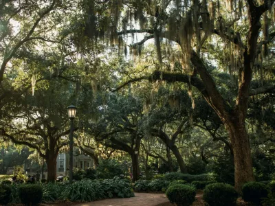 Sunlit brick pathway winding through moss-draped oak trees and lush greenery in a serene park setting