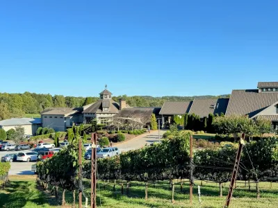 Vineyard rows leading to a large winery building with cars parked under a clear blue sky.