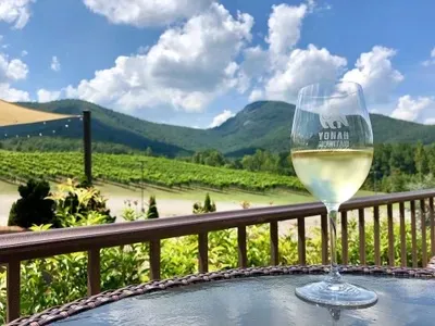 Glass of white wine on a table overlooking a vineyard with mountains and blue sky in the background