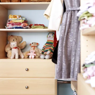 a closet full of stuffed animals