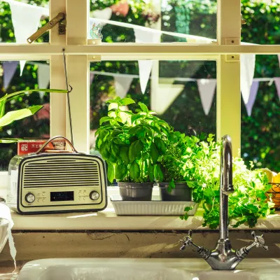 a kitchen counter with a toaster oven and plants