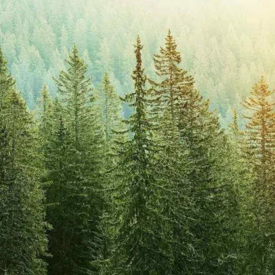 Updating Evergreen Content: Why It Matters