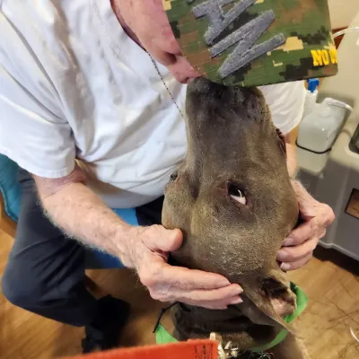 Older man wearing a camo hat affectionately holding and kissing a brown dog indoors with an orange leash.
