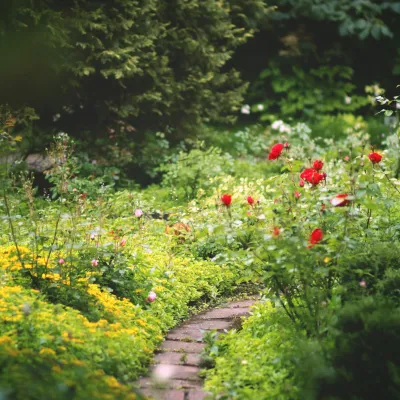 Curved garden path surrounded by lush greenery and blooming red, pink, and yellow flowers in a peaceful setting