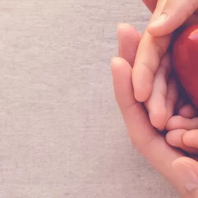 Heart & Vascular Center Services