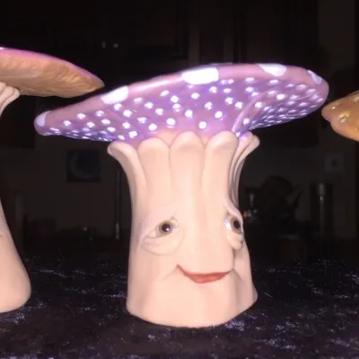 Faeries from the Swamp