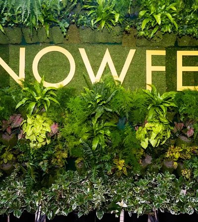 Green wall garden with various ferns and plants surrounding large yellow letters spelling NOWFE.