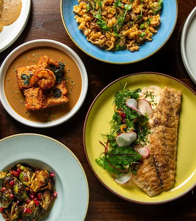 Overhead view of diverse gourmet dishes including fish filet, pasta, roasted vegetables, and appetizers on colorful plates.