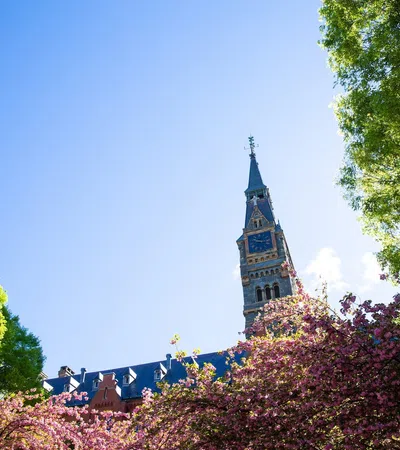 Historic clock tower framed by blooming cherry blossoms and green trees under a clear blue sky.