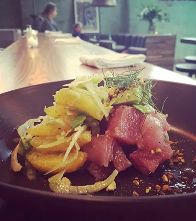 Paladar 511