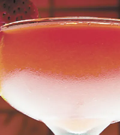 Bar Guide 2015
