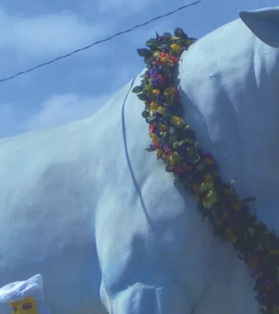 Constructing Carnival:  A Walk Through Mardi Gras World