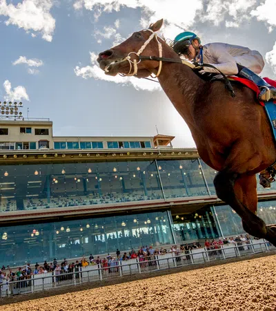 Jockey riding a brown horse in a horse race with grandstand and crowd in the background on a sunny day
