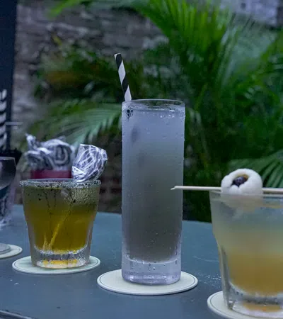 Assorted cocktails in different glasses on a bar counter with greenery in the background at dusk.