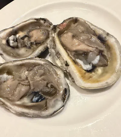 Three fresh raw oysters served on a white ceramic plate ready to eat seafood delicacy.