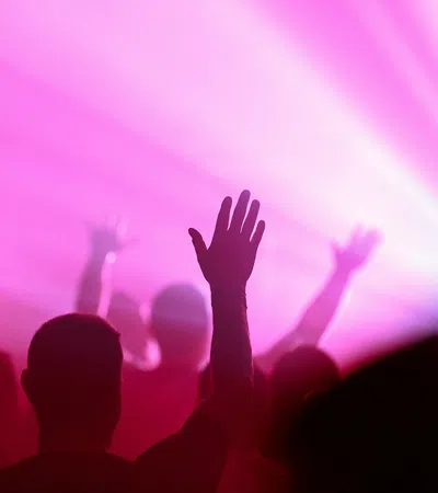 Silhouettes of people raising hands in a vibrant pink and purple light at a concert or event.