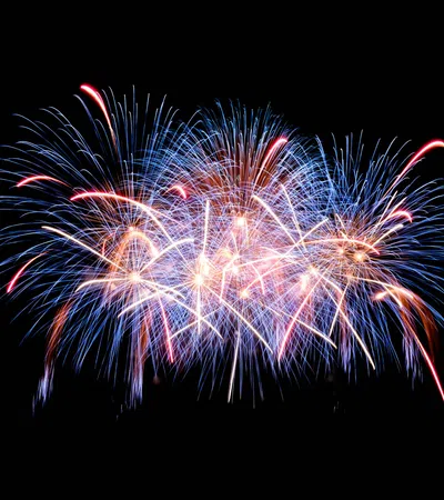 Colorful blue and red fireworks bursting against a dark night sky during a celebration.
