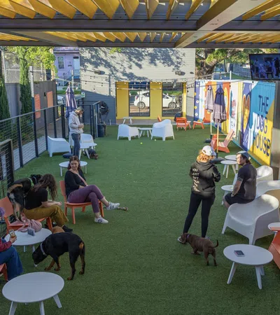 Outdoor dog park with people sitting and standing, colorful walls, artificial grass, and dogs playing.
