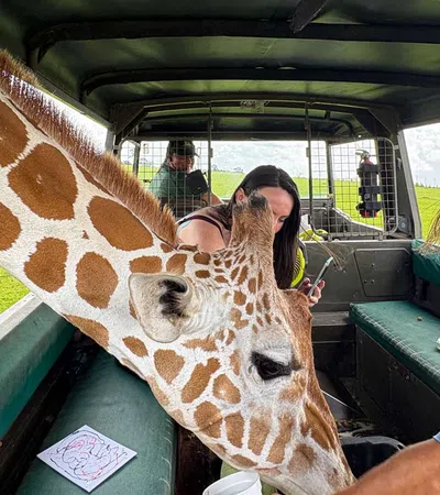 Giraffe pokes head into safari vehicle as visitors feed and interact during open grassland tour.