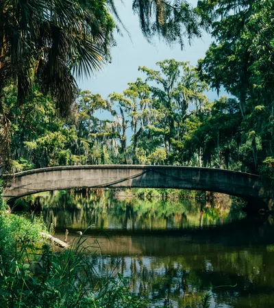 Concrete bridge over calm river surrounded by dense green trees and hanging Spanish moss on a sunny day