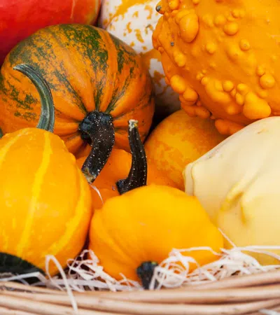 Fall Restaurant Guide 2016
