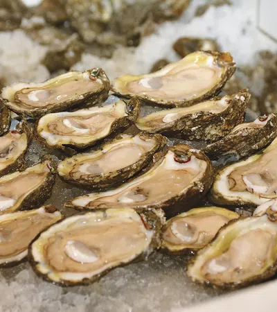 Bar Rooms & Bivalves: Oyster Season and the Neighborhood Bar in New Orleans