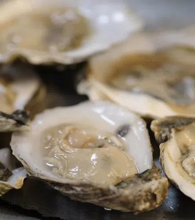Seaworthy is A Worthy New Addition to Ace Hotel