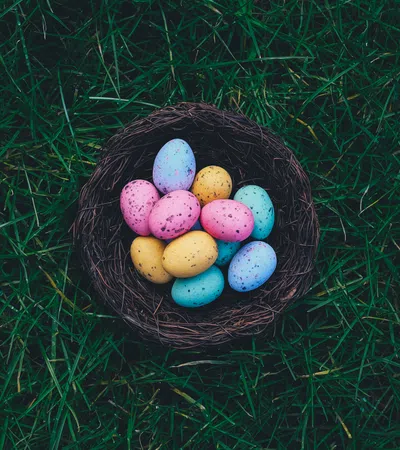Devilishly Good Eggs