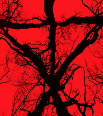 Film Review: Blair Witch
