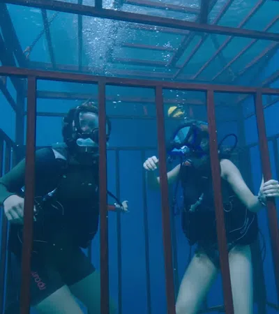 Film Review: 47 Meters Down