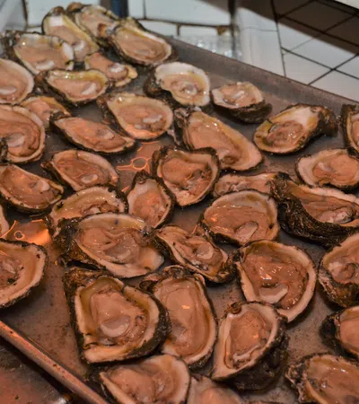 Oh, Shucks! It's National Oyster Day