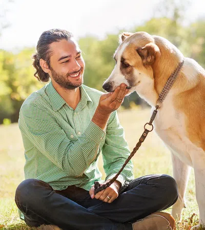 Canine Comfort or A Dog and His Boy