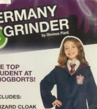 13 of the Best Knock-Off Halloween Costumes