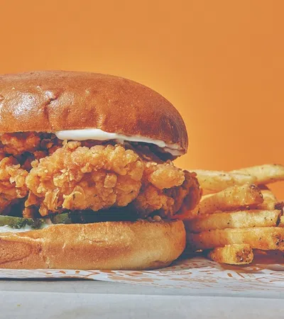 a large hamburger with a large bun
