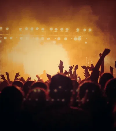 a crowd of people at a concert