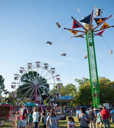 a crowd of people at a fair