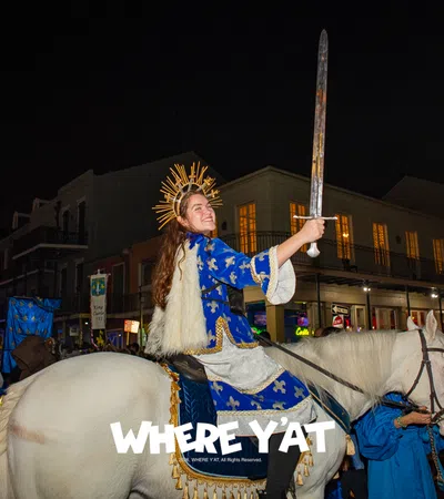 Person in royal costume holding sword on white horse during nighttime street parade with onlookers.