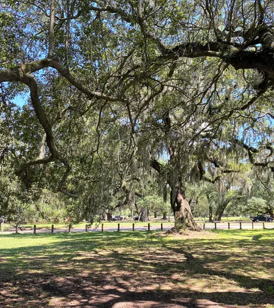 Mardi Gras Comes to City Park With ?Floats in the Oaks?