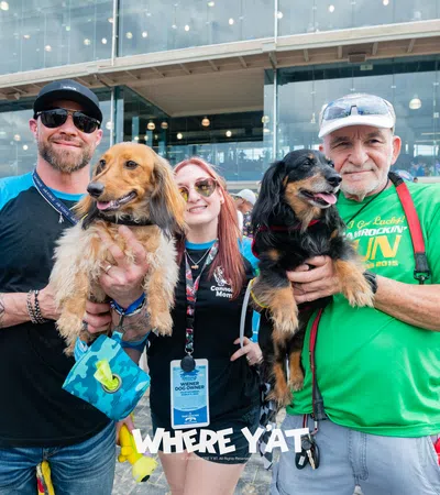 a group of people holding dogs