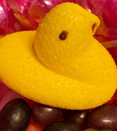 a yellow stuffed animal in a bag of candy