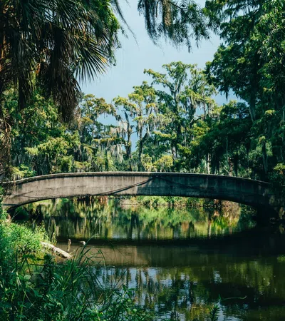 a bridge over a body of water