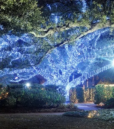 a waterfall with a light at the bottom