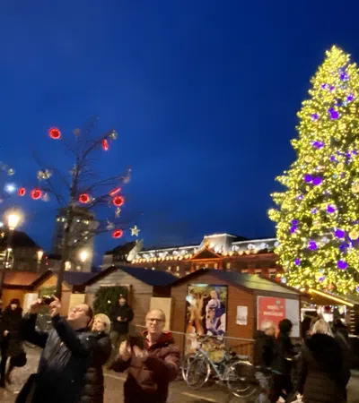 Where Can You Find the World?s Most Popular Christmas Trees?