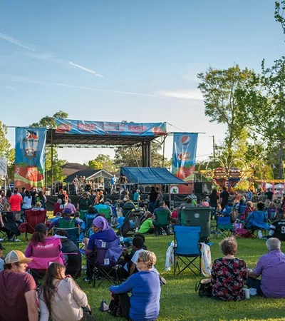 a group of people sitting on the grass watching a band play