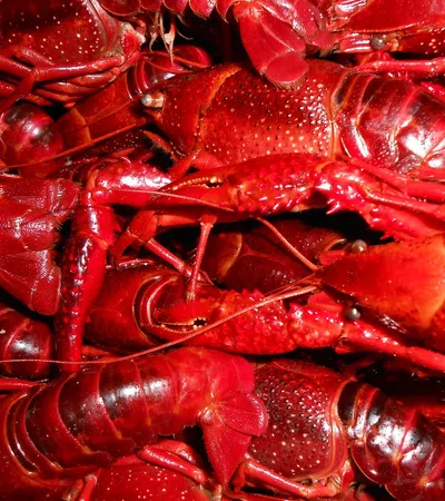 a pile of red lobsters