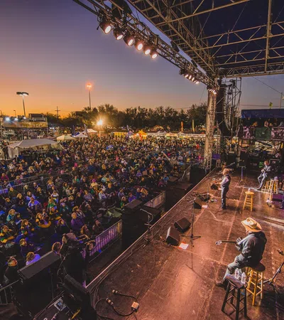 a large crowd of people at a concert