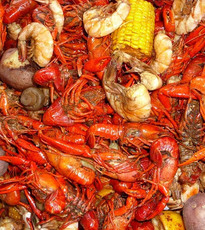 Native Nibbles: Exotic Foods of New Orleans and Louisiana