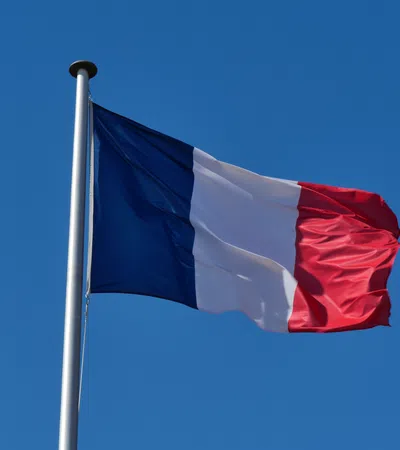 a flag on a pole
